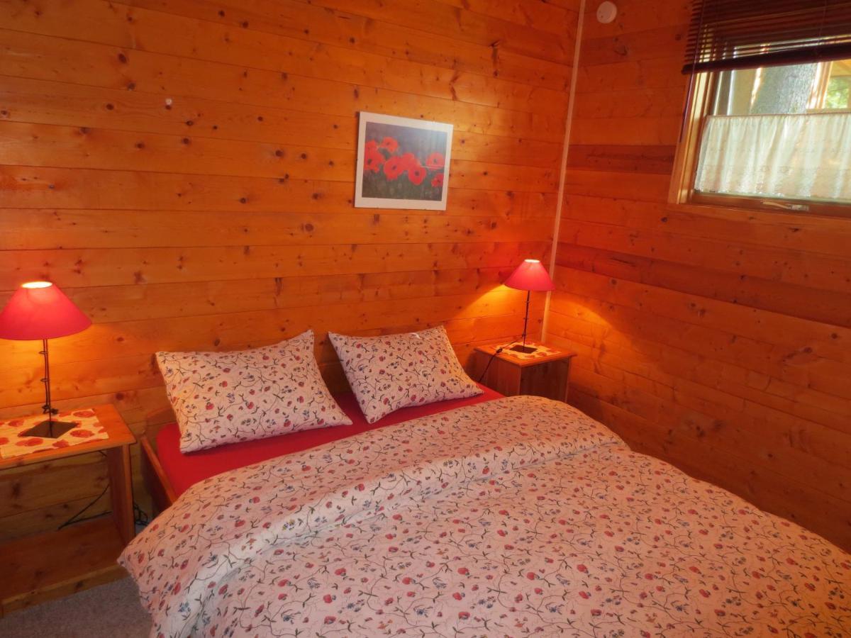 Blaeberry Mountain Lodge Golden Номер фото