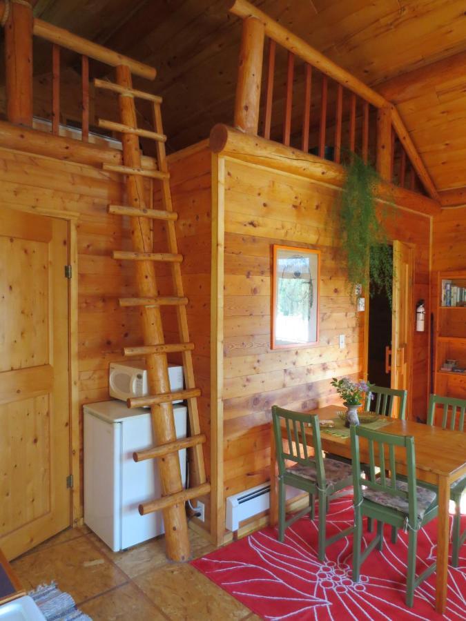 Blaeberry Mountain Lodge Golden Номер фото